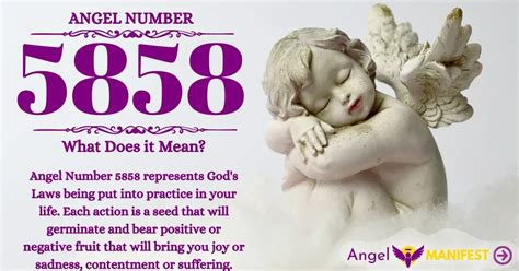 5858 angel number|5588 angel number.